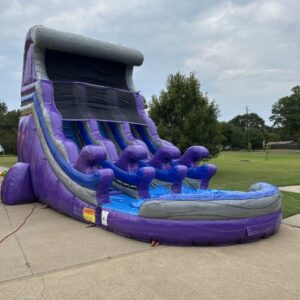 20 Foot Dual Lane Purple Rush Water Slide
