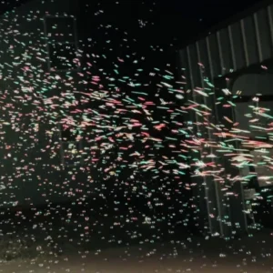 Bubble Machine Rental